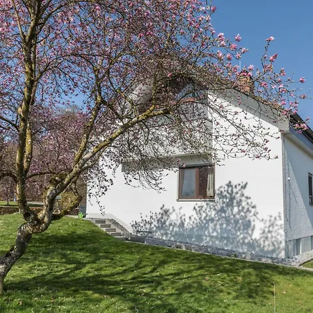 アパート Haus Hasenweide